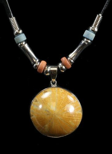 Polished Fossil Sand Dollar Necklace #43098
